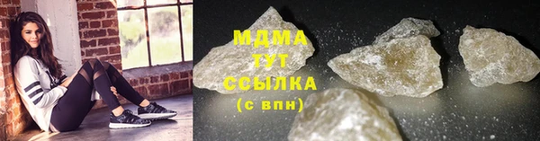индика Инта