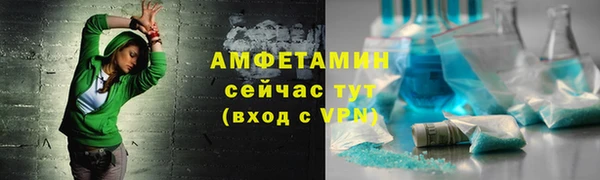 индика Инта