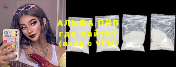 индика Инта