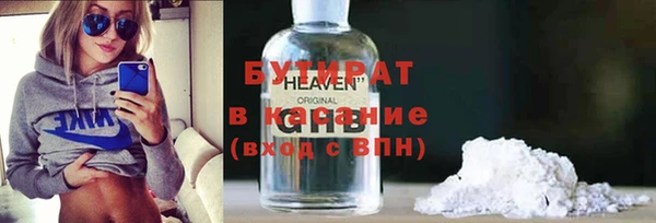 индика Инта
