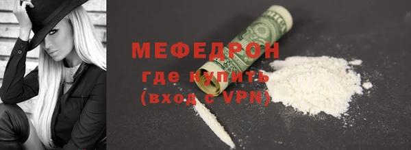 индика Инта