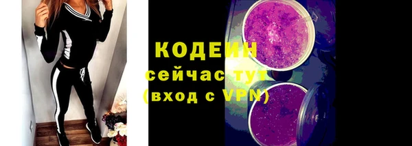 индика Инта