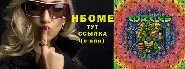 индика Инта