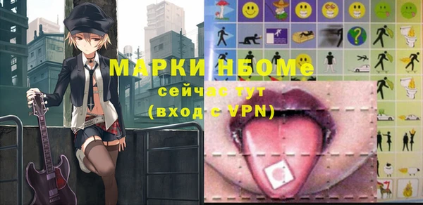 индика Инта