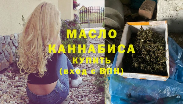 индика Инта