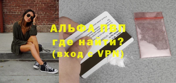 индика Инта