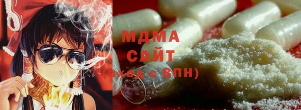 индика Инта