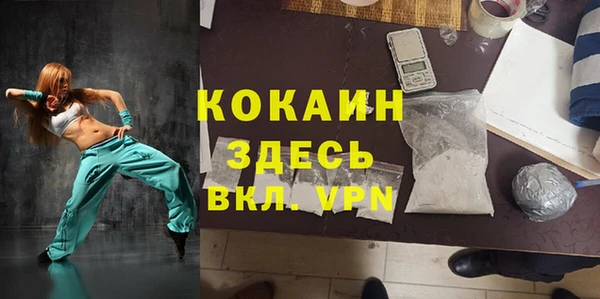 индика Инта
