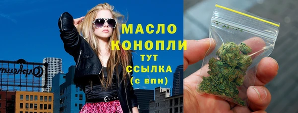 индика Инта