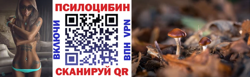 Псилоцибиновые грибы прущие грибы  Сегежа 