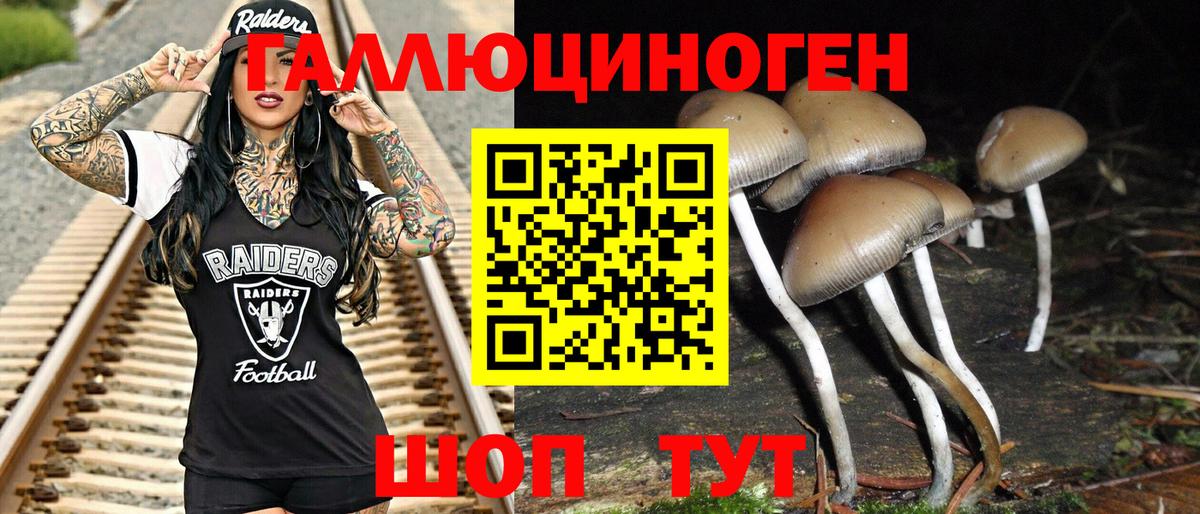 Галлюциногенные грибы Psilocybe Сегежа