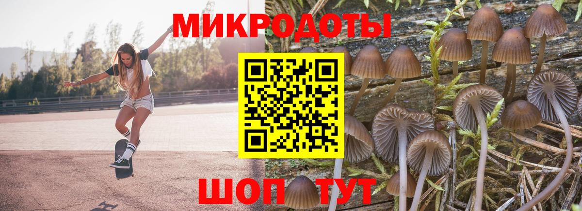 купить наркотики сайты  Вход с VPN  Псилоцибиновые грибы Cubensis  Сегежа  Галлюциногенные грибы Psilocybe 